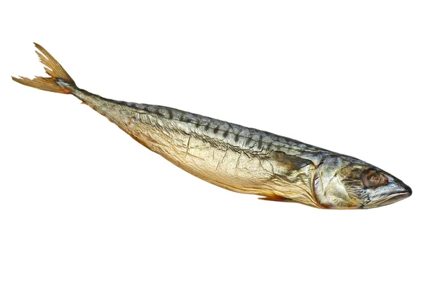 Soğuk füme mackerel.isolated. — Stok fotoğraf