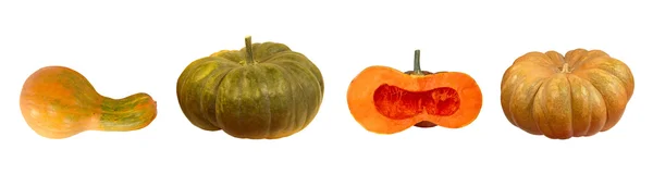 Set of different kinds of pumpkins.Isolated. — Stock Photo, Image