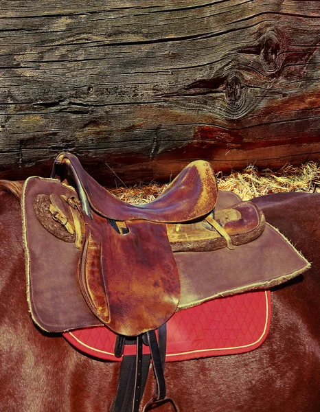 Brun häst befria sadeln på logg vägg bakgrund. — Stockfoto