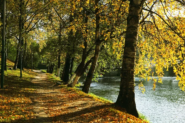 Promenade dans le parc d'automne près du lac . — Photo