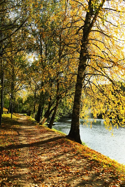 Passerelle pittoresque dans le parc d'automne . — Photo