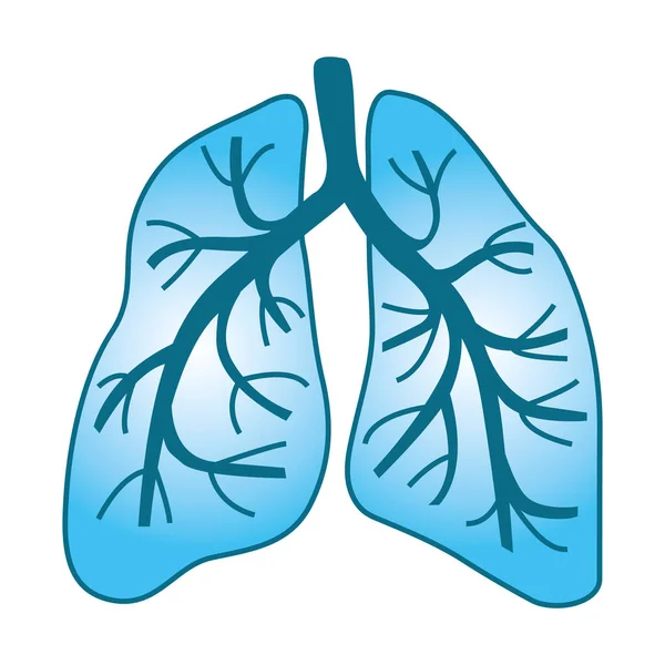 Human Lungs Vector Illustration Iii — Stock Vector