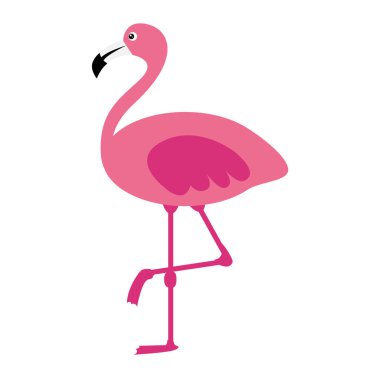 Beyaz arka planda pembe flamingo. Vektör illüstrasyonu.