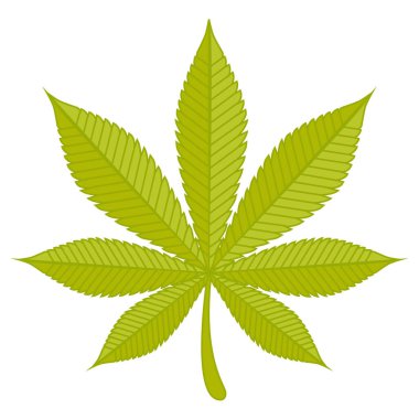 Gerçekçi kenevir yaprağı. Vektör simgesi illüstrasyonu.