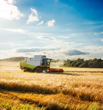 Combine Harvester on a Wheat Field. Agriculture. clipart