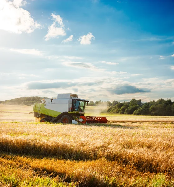 Combina raccoglitore su un campo di grano. Agricoltura . — Foto Stock