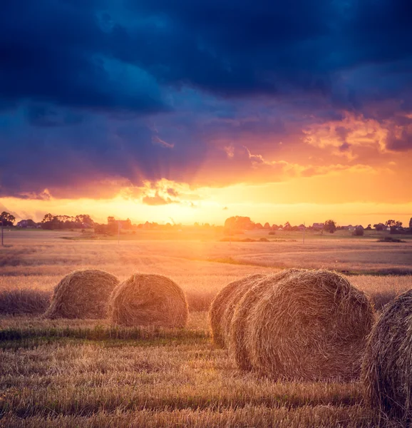 Sommaren gård landskap med höstackar. Solnedgången. — Stockfoto