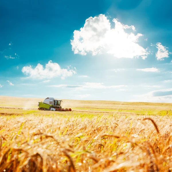 Combinar cosechadora en un campo de trigo. Agricultura . —  Fotos de Stock