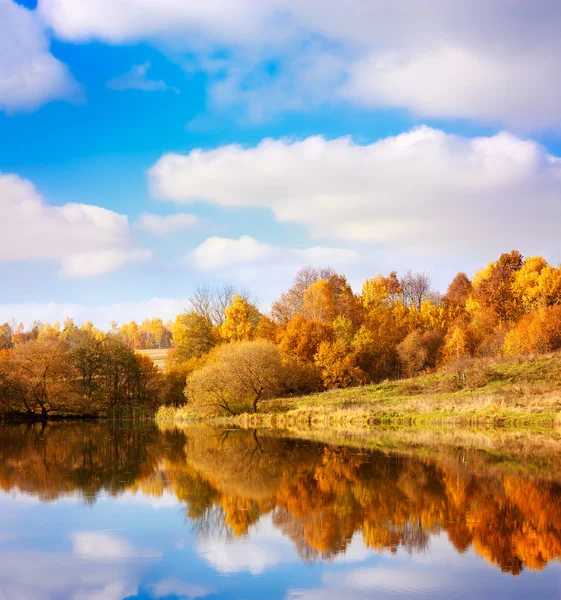 Herfst landschap. gele bomen, blauwe hemel en meer. — Stockfoto