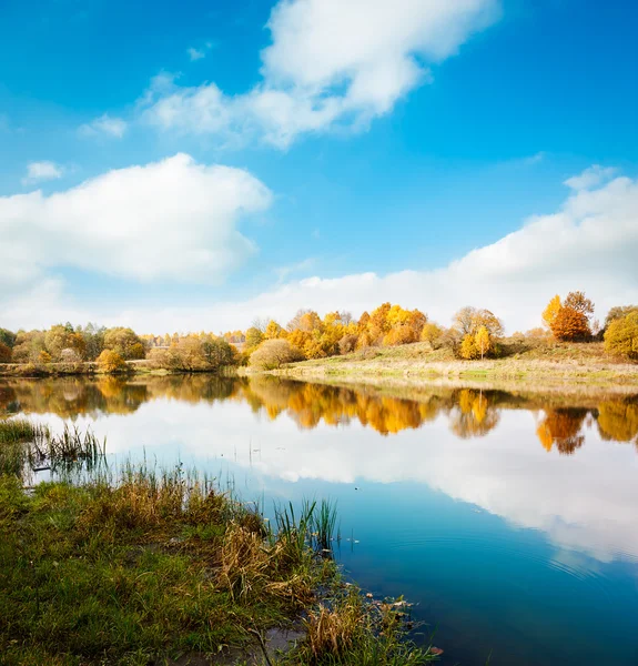 Podzimní krajina. žluté stromy, modrá obloha a jezero. — Stock fotografie