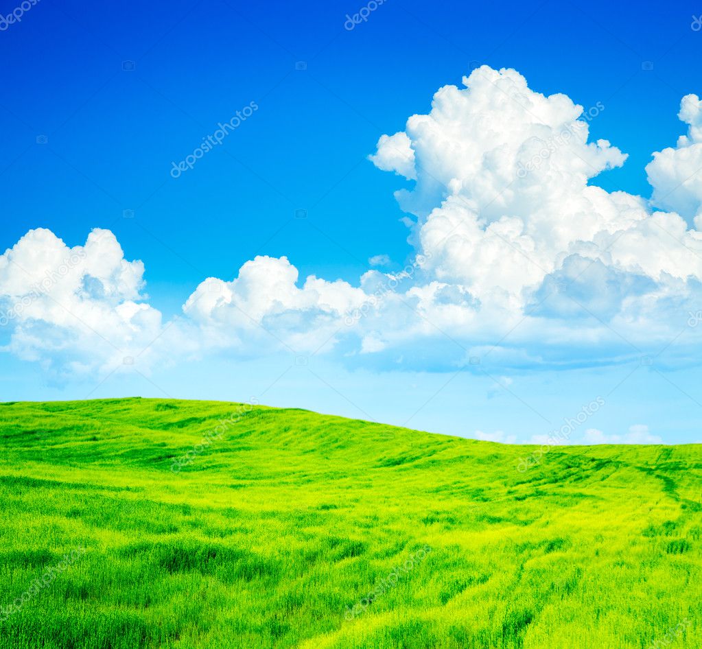 Summer Landscape with Green Field and Blue Sky