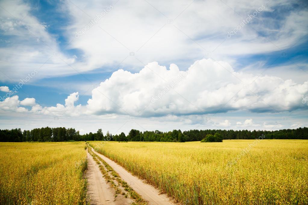 Landscape with Field and Empty Countryside Road