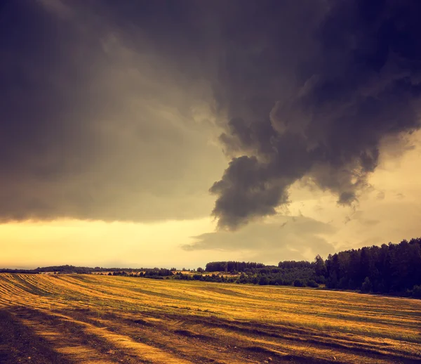 Paisagem de tons escuros com campo e céu sombrio — Fotografia de Stock