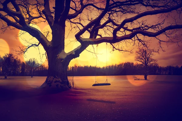 Paysage d'hiver calme avec balançoire d'arbre abandonné — Photo