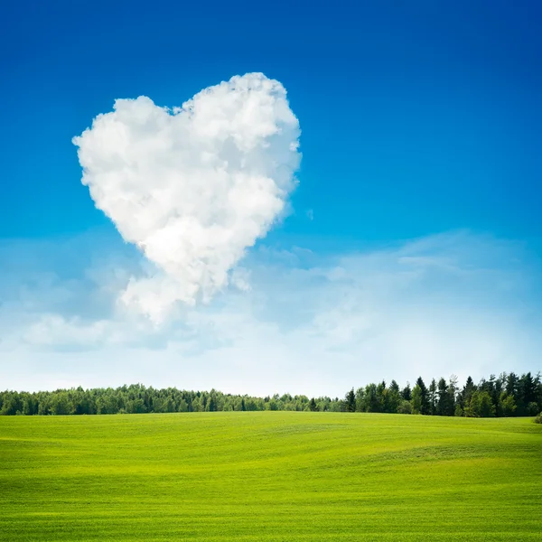 Coração em forma de nuvem e paisagem de campo verde — Fotografia de Stock