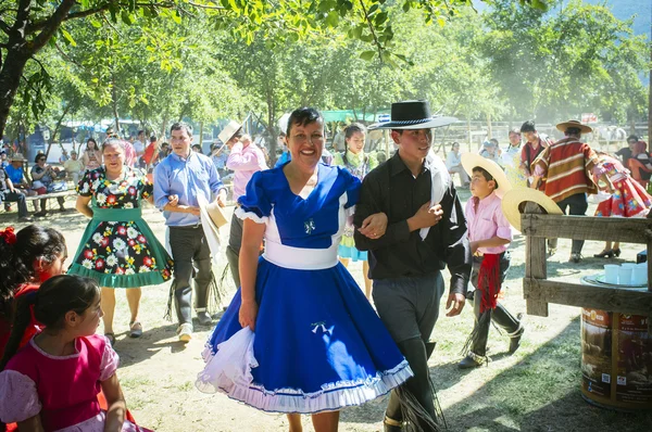 Folkloric Chilean countryside — Stock Photo, Image