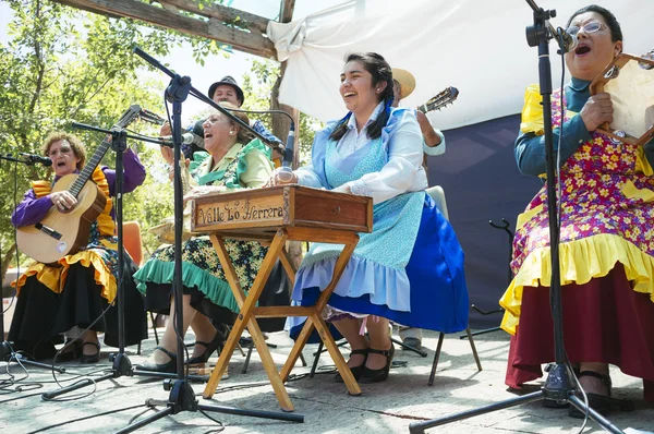 Folklór Chilei vidéken — Stock Fotó