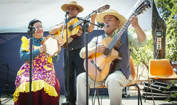 Folklorik Şili kırsal