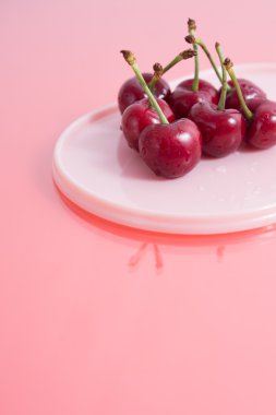 şirin kiraz studio vurdu