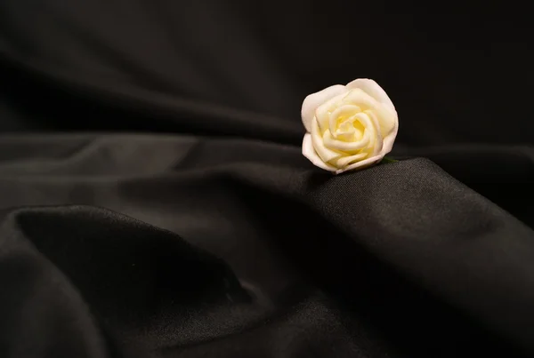 Una sola rosa — Foto de Stock