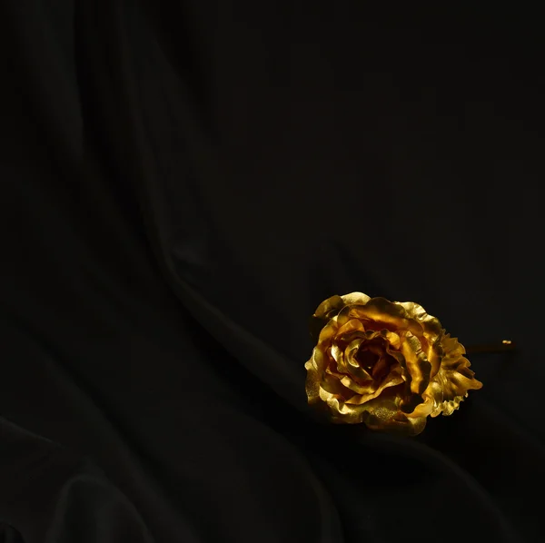 One single rose — Stock Photo, Image