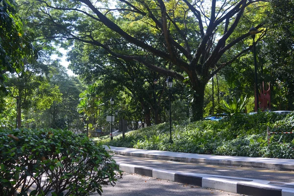 Парк в Сингапуре — стоковое фото