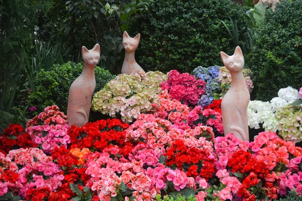 Staty av tre katter med blommor — Stockfoto