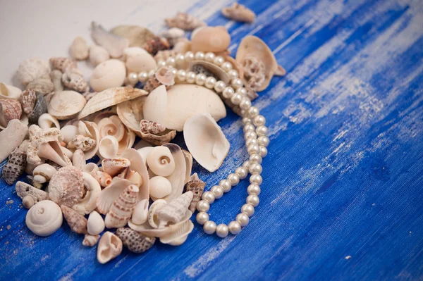 Sea shells and pearls — Stock Photo, Image