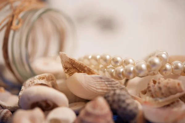 Deniz kabukları ve inciler