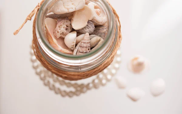 Muscheln und Perlen — Stockfoto