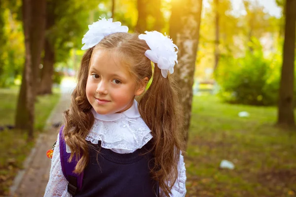 Birinci sınıf öğrencisi, bilgi - 1 gün. Eylül