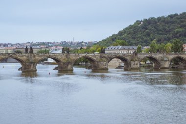 Charles Köprüsü, Prag görünümüne