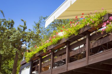 Veranda restoranın çiçek, Prag ile