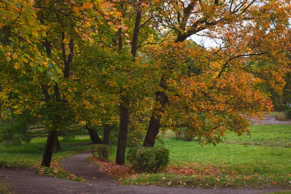 Herbst-Monrepos-Landschaftspark — Stockfoto