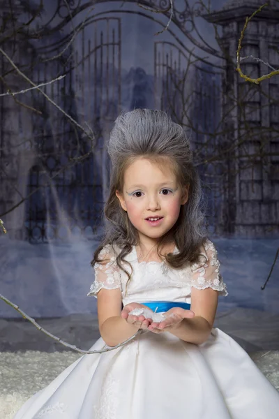 Princesa neve — Fotografia de Stock