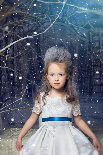 Снежная принцесса — стоковое фото
