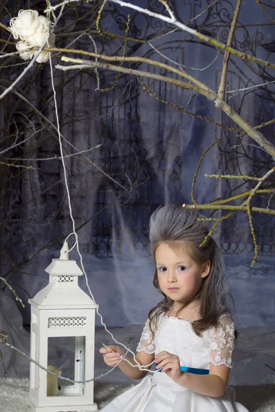 Princesa neve — Fotografia de Stock