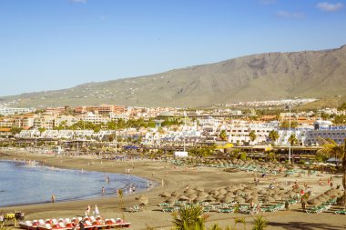 Sandy beach with thatched parasols and sunbeds, Costa Adeje, Ten