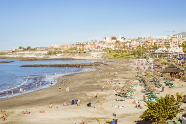 Sandy beach with thatched parasols and sunbeds, Costa Adeje, Ten