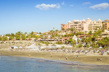 Sandy beach with thatched parasols and sunbeds, Costa Adeje, Ten