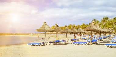 Straw umbrellas and loungers on the Playa de Las Americas, Tener clipart