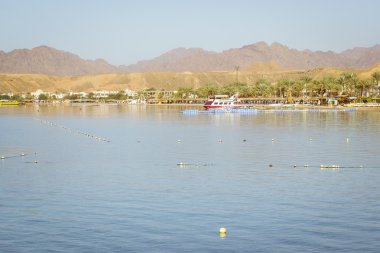 Şubat gün sahilde Sharm El Sheikh