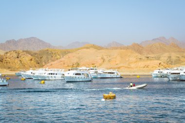 Marina: Zevk gezi tekneleri park yerinin teknenin üzerinde