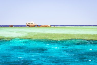 Sharm El Sheikh, Mısır - 25 Şubat 2014: Batık batık kayalıkta, Kızıldeniz, Sharm El Sheikh, Mısır