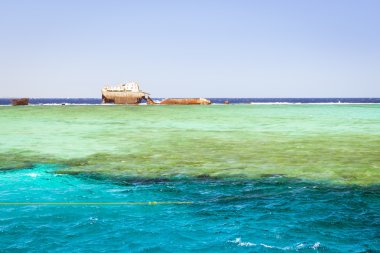 Sharm El Sheikh, Mısır - 25 Şubat 2014: Batık batık kayalıkta, Kızıldeniz, Sharm El Sheikh, Mısır