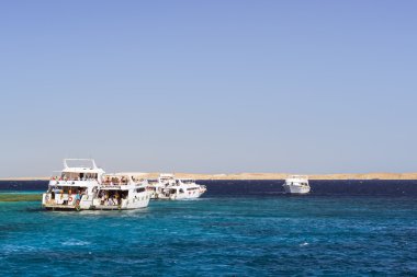 Sharm El Sheikh, Mısır - 25 Şubat 2014: mercan resifleri, Sharm El Sheikh, Mısır'da turist tekne turu beyaz yat, lüks tatil için turistler Red Sea'deki/daki Sina çevresinde dalış