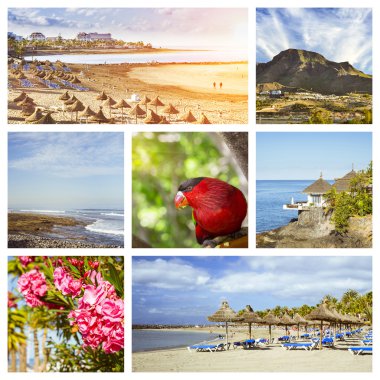 Tenerife kolaj, güneşli plaj seyahat etmek tatil. Kanarya Adaları, İspanya. Sandy beach güneş şemsiyesi ve lounge koltukları, kayalık okyanus kıyısında Teide yanardağı, tropikal doğa ile