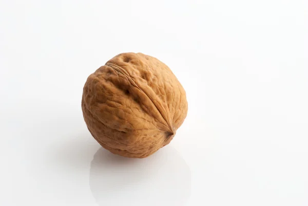 Walnut on white background — Stock Photo, Image