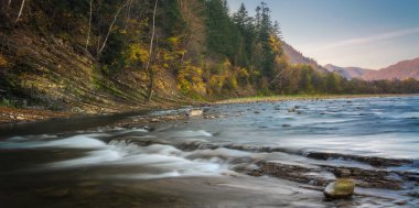Bu uzun pozlu fotoğraf, Karpatya Dağları 'ndaki kayalık çıkıntıların üzerinden akan bir dağ nehrinin ipeksi sularını yakalar. Bankalar, sonbaharın ilk altın ve yeşil renklerini gösteren sarp kayalıklarla ve canlı bir ormanla kaplı. Şey...