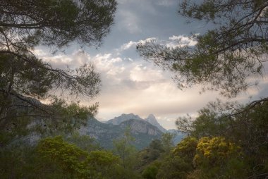 Bu nefes kesici manzara, gün batımında yumuşak ve bulutlu bir gökyüzünün altında Taurus Dağları 'nın sivri kireçtaşlı zirvelerini yakalar. Manzara, Akdeniz çam dallarının karanlık siluetleri tarafından güzelce çerçevelenmiş ve vahşi doğaya doğal bir pencere oluşturulmuştur.